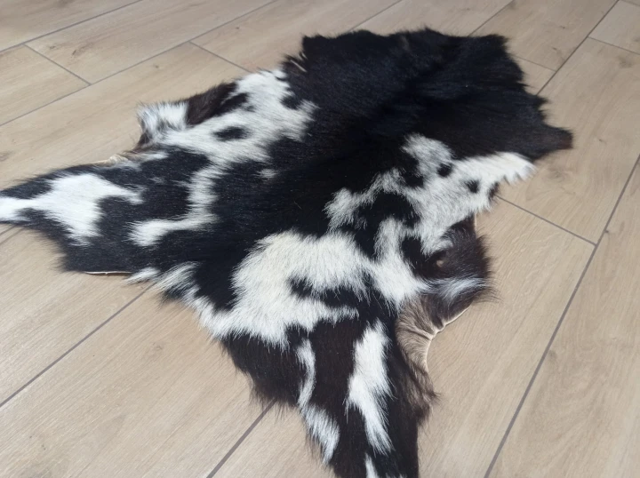 Skóra Kozia Naturalna  Ciemnobrązowo-biała 80x55cm rozłożona w salonie - dekoracyjneskory.pl