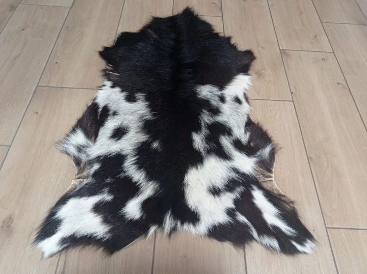 Skóra Kozia Naturalna  Ciemnobrązowo-biała 80x55cm rozłożona w salonie - dekoracyjneskory.pl