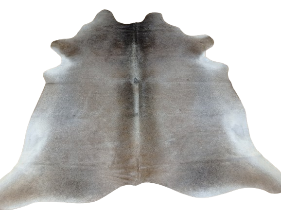 Naturalna skóra bydlęca 185x190 cm rozłożona w dużym salonie  - dekoracyjneskory.pl