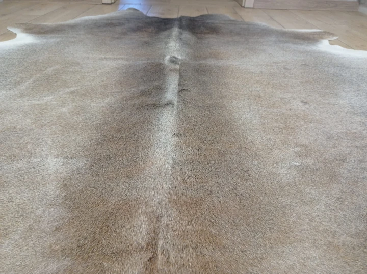 Naturalna skóra bydlęca 185x190 cm rozłożona w dużym salonie  -  zbliżenie na lśniący włos  - dekoracyjneskory.pl