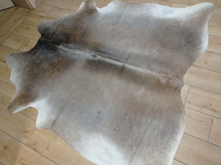 Naturalna skóra bydlęca 185x190 cm rozłożona w dużym salonie  - dekoracyjneskory.pl
