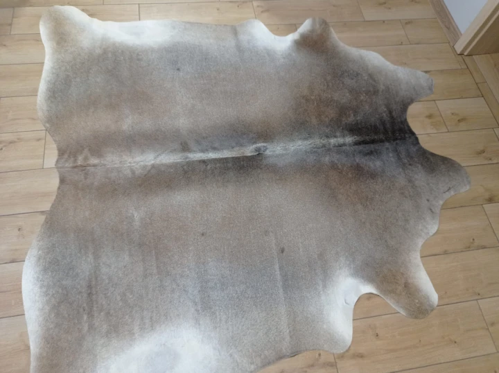 Naturalna skóra bydlęca 185x190 cm rozłożona w dużym salonie  - dekoracyjneskory.pl