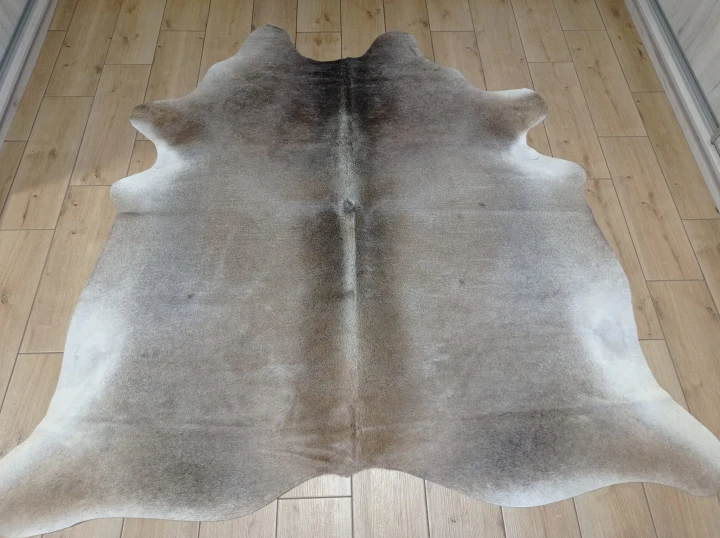 Naturalna skóra bydlęca 185x190 cm rozłożona w dużym salonie  - dekoracyjneskory.pl