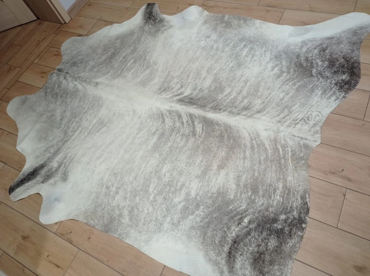 Naturalna skóra bydlęca 210x190 cm rozłożona w dużym salonie  - dekoracyjneskory.pl