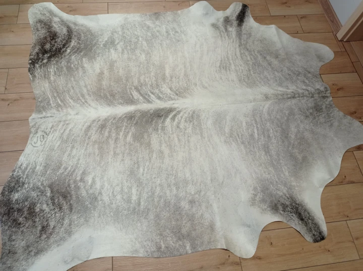 Naturalna skóra bydlęca 210x190 cm rozłożona w dużym salonie  - dekoracyjneskory.pl