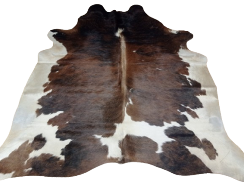 Naturalna skóra bydlęca 200x190 cm rozłożona w dużym salonie  - dekoracyjneskory.pl