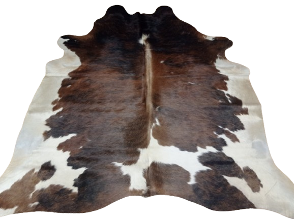 Naturalna skóra bydlęca 200x190 cm rozłożona w dużym salonie  - dekoracyjneskory.pl