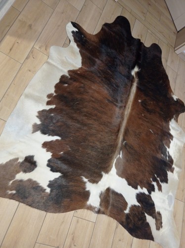 Naturalna skóra bydlęca 200x190 cm rozłożona w dużym salonie  - dekoracyjneskory.pl