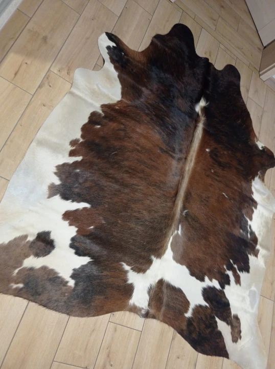 Naturalna skóra bydlęca 200x190 cm rozłożona w dużym salonie  - dekoracyjneskory.pl