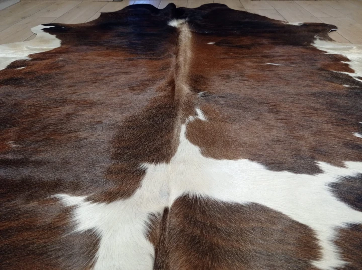Naturalna skóra bydlęca 200x190 cm rozłożona w dużym salonie  - zbliżenie na lśniący włos - dekoracyjneskory.pl