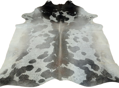 Naturalna skóra bydlęca 235x225 cm rozłożona w dużym salonie  - dekoracyjneskory.pl