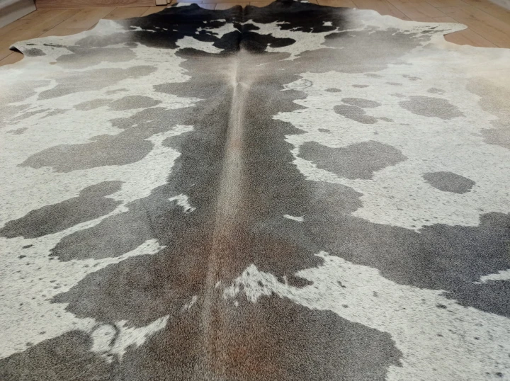 Naturalna skóra bydlęca 235x225 cm rozłożona w dużym salonie  - zbliżenie na lśniący włos -  dekoracyjneskory.pl