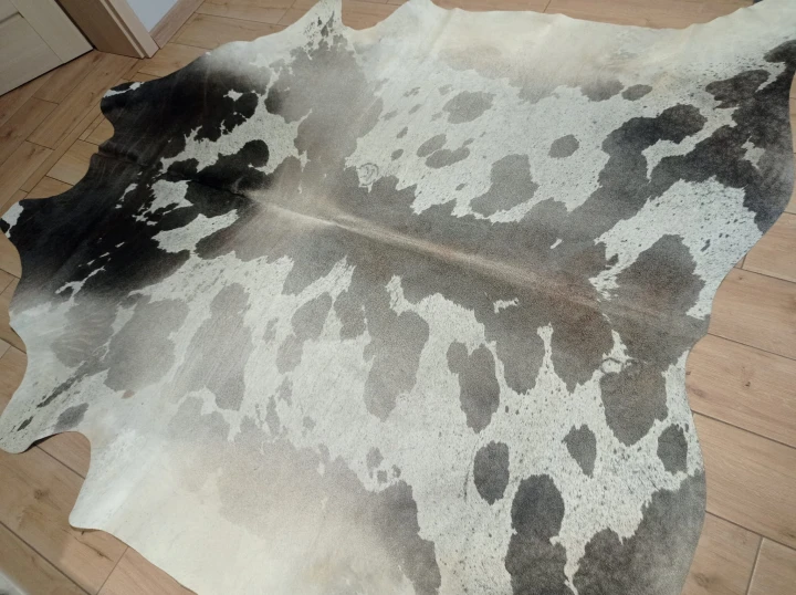 Naturalna skóra bydlęca 235x225 cm rozłożona w dużym salonie  - dekoracyjneskory.pl