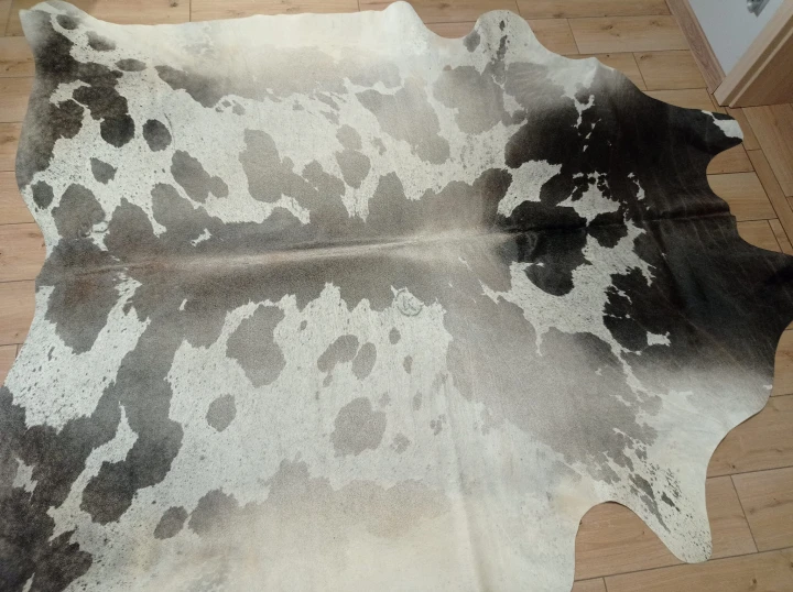 Naturalna skóra bydlęca 235x225 cm rozłożona w dużym salonie  - dekoracyjneskory.pl