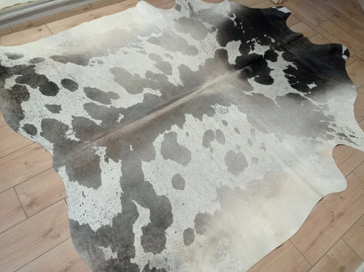 Naturalna skóra bydlęca 235x225 cm rozłożona w dużym salonie  - dekoracyjneskory.pl