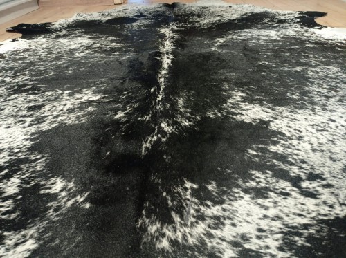 Naturalna skóra bydlęca 240x225 cm rozłożona w dużym salonie  - zbliżenie na lśniący włos - dekoracyjneskory.pl