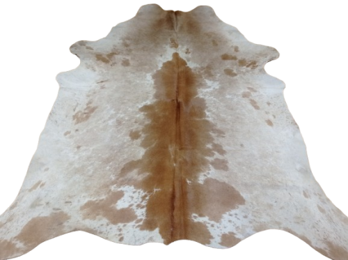 Naturalna skóra bydlęca 210x190 cm rozłożona w dużym salonie  - dekoracyjneskory.pl
