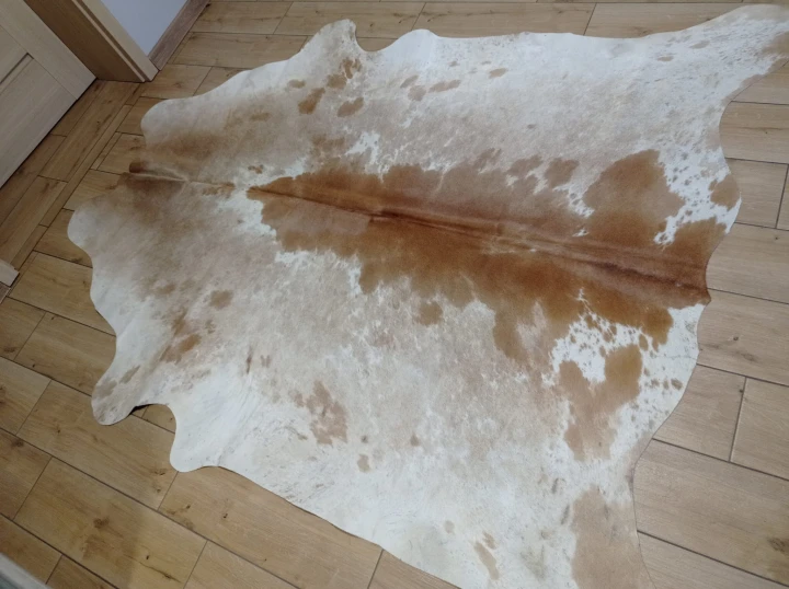 Naturalna skóra bydlęca 210x190 cm rozłożona w dużym salonie  - dekoracyjneskory.pl