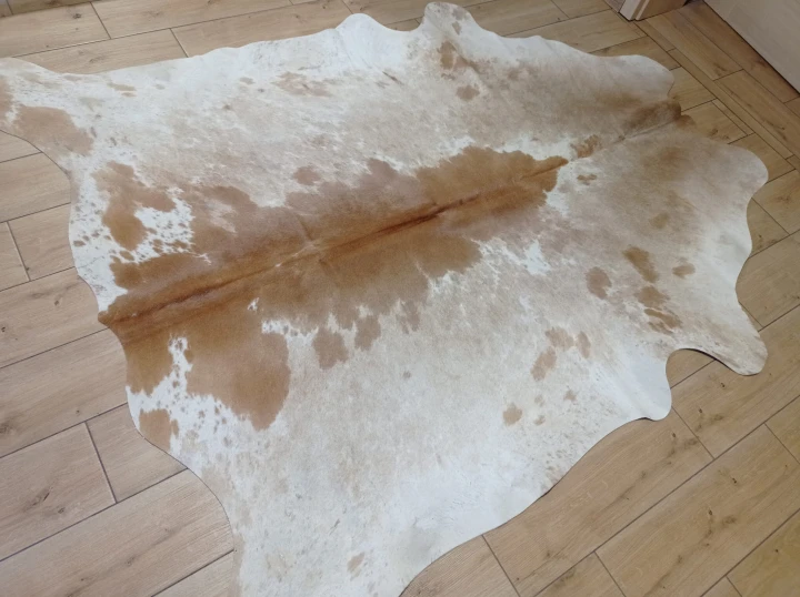 Naturalna skóra bydlęca 210x190 cm rozłożona w dużym salonie  - dekoracyjneskory.pl