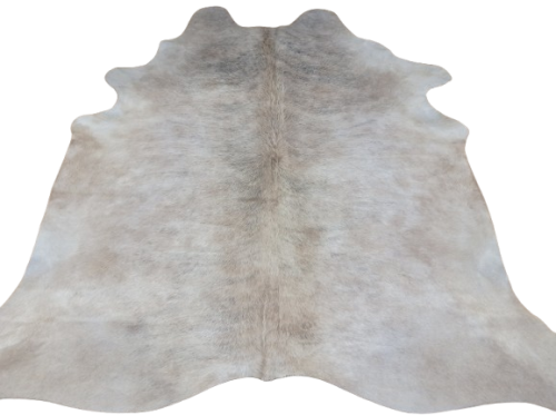 Naturalna skóra bydlęca 200x195 cm rozłożona w dużym salonie  - dekoracyjneskory.pl