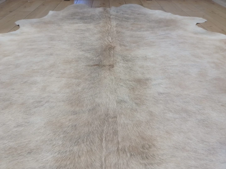 Naturalna skóra bydlęca 200x195 cm rozłożona w dużym salonie  - zbliżenie na lśniący włos - dekoracyjneskory.pl