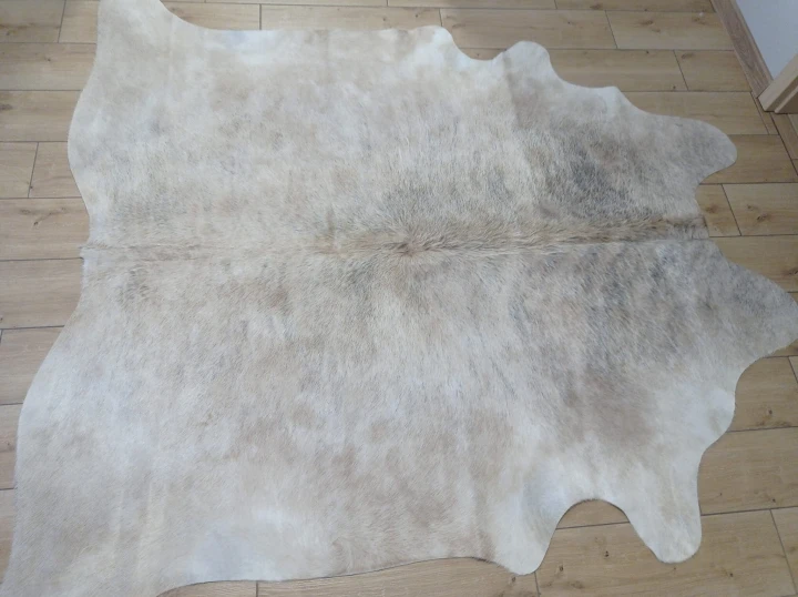 Naturalna skóra bydlęca 200x195 cm rozłożona w dużym salonie  - dekoracyjneskory.pl