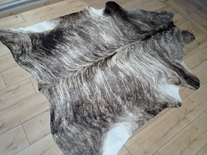 Naturalna skóra bydlęca 195x190 cm rozłożona w dużym salonie  - dekoracyjneskory.pl
