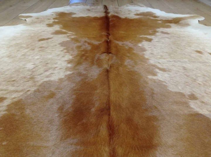 Naturalna skóra bydlęca 195x195 cm rozłożona w dużym salonie  - zbliżenie na lśniący włos - dekoracyjneskory.pl
