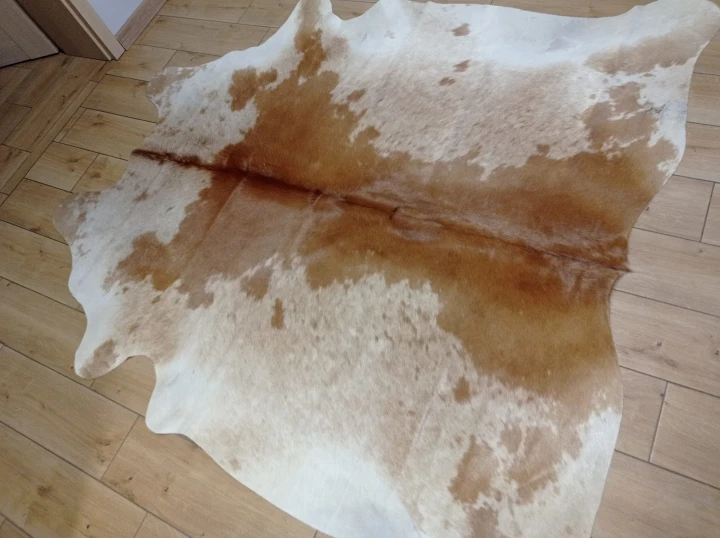 Naturalna skóra bydlęca 195x195 cm rozłożona w dużym salonie  - dekoracyjneskory.pl