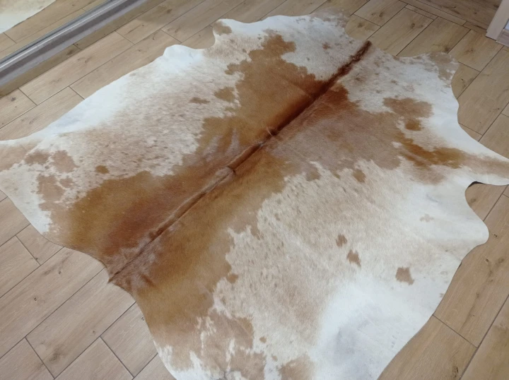 Naturalna skóra bydlęca 195x195 cm rozłożona w dużym salonie  - dekoracyjneskory.pl