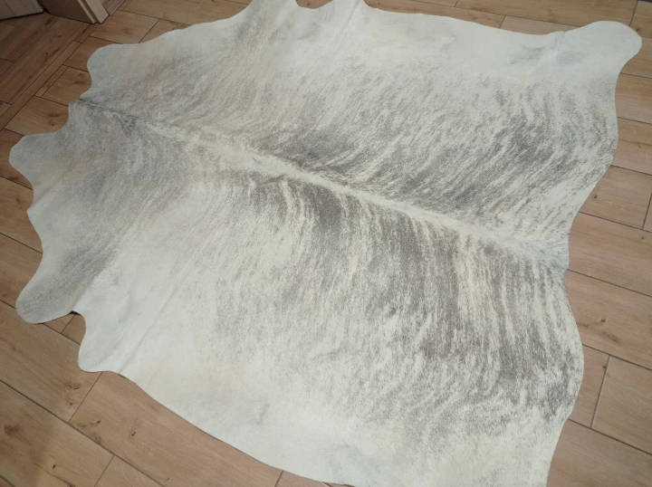 Naturalna skóra bydlęca 205x185 cm rozłożona w dużym salonie  - dekoracyjneskory.pl