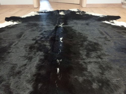 Naturalna skóra bydlęca 200x190 cm rozłożona w dużym salonie  -  zbliżenie na lśniącą sierść - dekoracyjneskory.pl