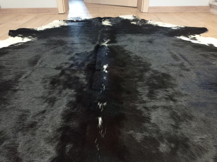 Naturalna skóra bydlęca 200x190 cm rozłożona w dużym salonie  -  zbliżenie na lśniącą sierść - dekoracyjneskory.pl