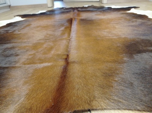 Naturalna skóra bydlęca 200x190 cm rozłożona w dużym salonie  - zbliżenie na lśniącą sierść - dekoracyjneskory.pl