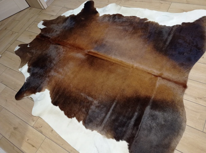 Naturalna skóra bydlęca 200x190 cm rozłożona w dużym salonie  - dekoracyjneskory.pl