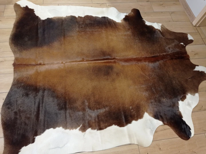 Naturalna skóra bydlęca 200x190 cm rozłożona w dużym salonie  - dekoracyjneskory.pl