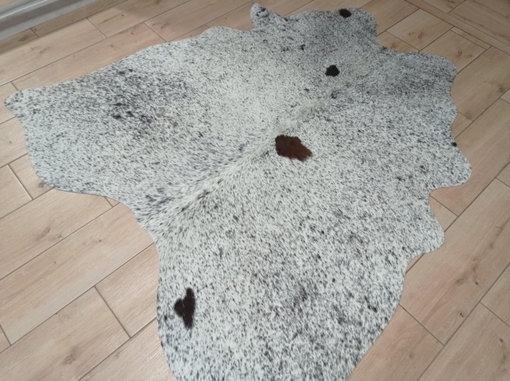 52f2f3bd-2ff6-4e55-9c66-3e45628a44e2