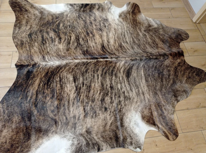 Naturalna skóra bydlęca 195x190 cm rozłożona w dużym salonie  - dekoracyjneskory.pl