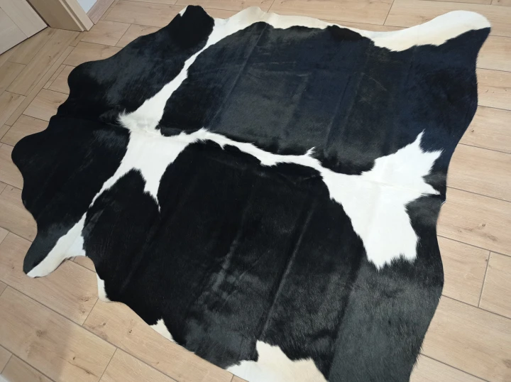 Naturalna skóra bydlęca 200x180 cm rozłożona w dużym salonie  - dekoracyjneskory.pl