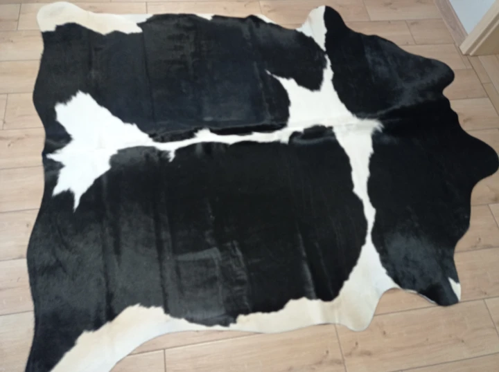 Naturalna skóra bydlęca 200x180 cm rozłożona w dużym salonie  - dekoracyjneskory.pl