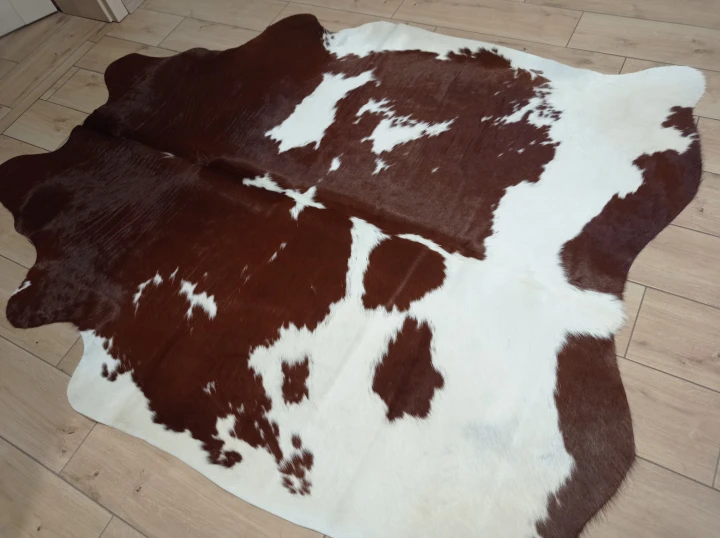 Naturalna skóra bydlęca 195x155 cm rozłożona w dużym salonie  - dekoracyjneskory.pl