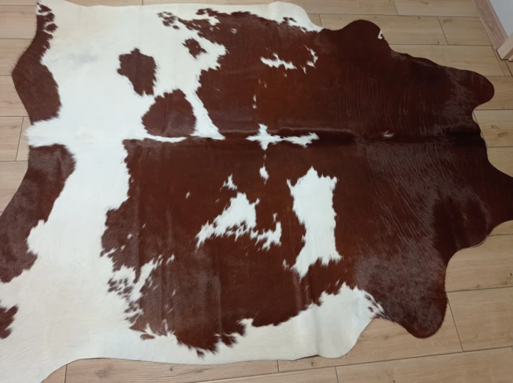 Naturalna skóra bydlęca 195x155 cm rozłożona w dużym salonie  - dekoracyjneskory.pl