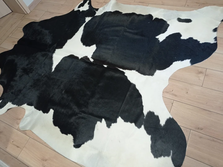 Naturalna skóra bydlęca 235x215 cm rozłożona w dużym salonie  - dekoracyjneskory.pl