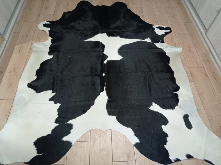 Naturalna skóra bydlęca 235x215 cm rozłożona w dużym salonie  - dekoracyjneskory.pl