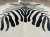 Naturalna skóra bydlęca ZEBRA 220x185 cm rozłożona w dużym salonie  zbliżenie na lśniącą sierść - dekoracyjneskory.pl