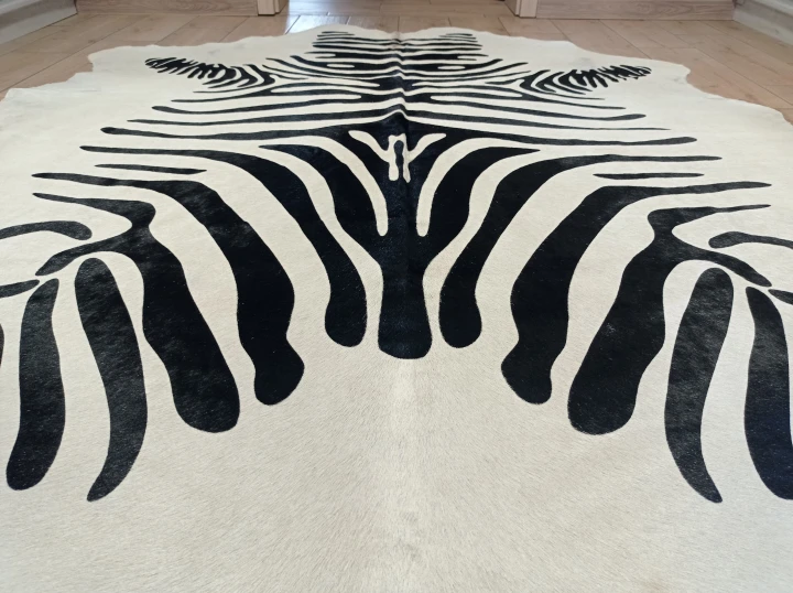 Naturalna skóra bydlęca ZEBRA 220x185 cm rozłożona w dużym salonie  zbliżenie na lśniącą sierść - dekoracyjneskory.pl