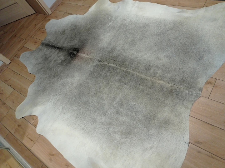 Naturalna skóra bydlęca SZARA 235x220 cm rozłożona w dużym salonie  - dekoracyjneskory.pl