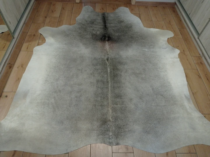 Naturalna skóra bydlęca SZARA 235x220 cm rozłożona w dużym salonie  - dekoracyjneskory.pl