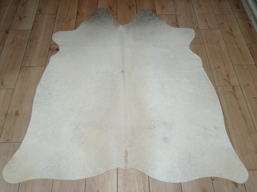 Naturalna skóra bydlęca KREMOWO-SZARA 155x145 cm rozłożona w dużym salonie  - dekoracyjneskory.pl