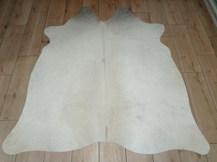 Naturalna skóra bydlęca KREMOWO-SZARA 155x145 cm rozłożona w dużym salonie  - dekoracyjneskory.pl